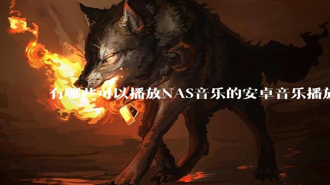 有哪些可以播放NAS音乐的安卓音乐播放器?