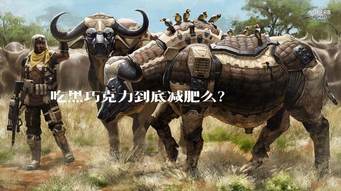 吃黑巧克力到底减肥么?