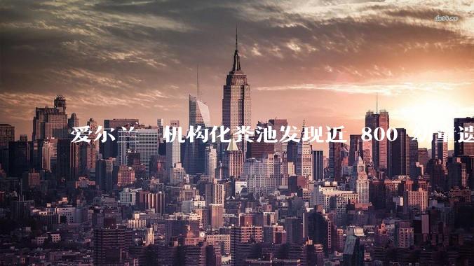 爱尔兰一机构化粪池发现近 800 幼童遗骨,具体是怎么回事?