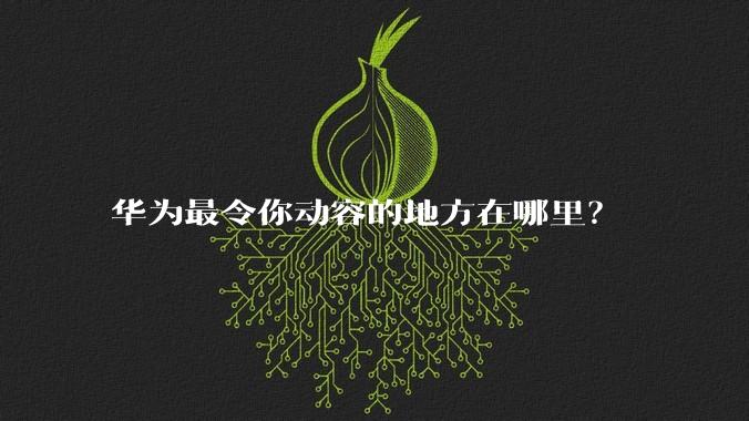 华为最令你动容的地方在哪里?