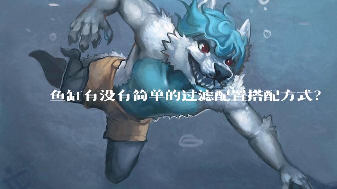 鱼缸有没有简单的过滤配置搭配方式?
