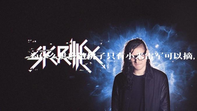 为什么供应链桃子只有小米雷军可以摘,其他人只能干瞪眼?