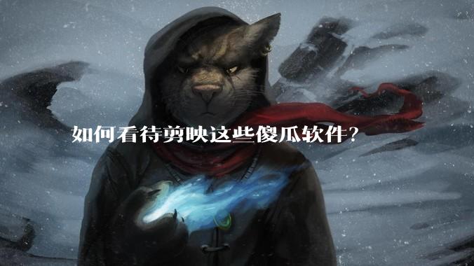 如何看待剪映这些傻瓜软件?