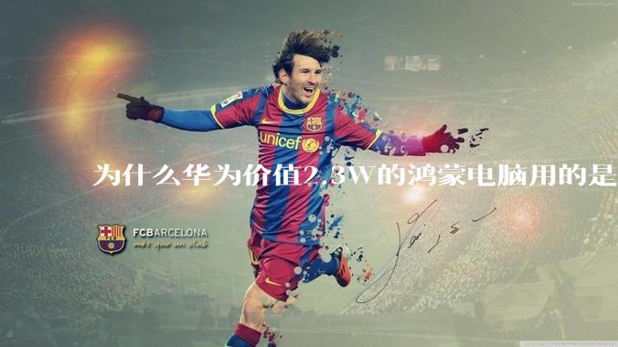 为什么华为价值2.3W的鸿蒙电脑用的是美国西数的中低固态硬盘??