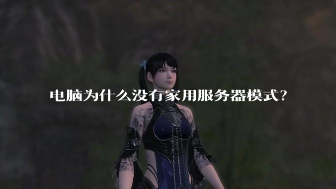 电脑为什么没有家用服务器模式?
