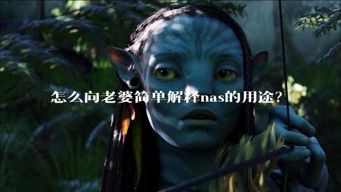 怎么向老婆简单解释nas的用途?