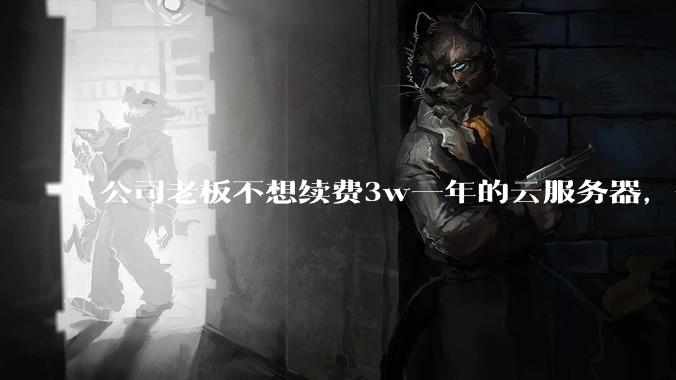 公司老板不想续费3w一年的云服务器,合理吗?