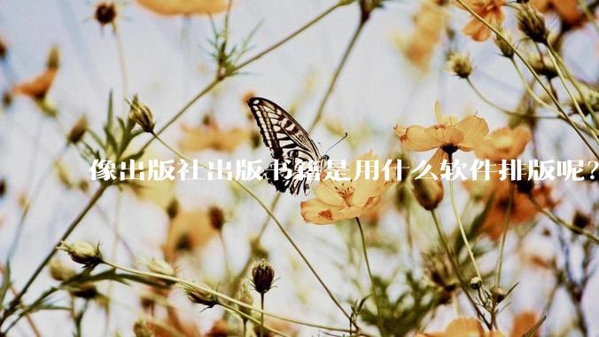 像出版社出版书籍是用什么软件排版呢?除了WPS和Adobe?