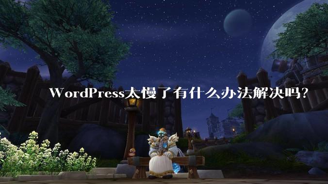 WordPress太慢了有什么办法解决吗?