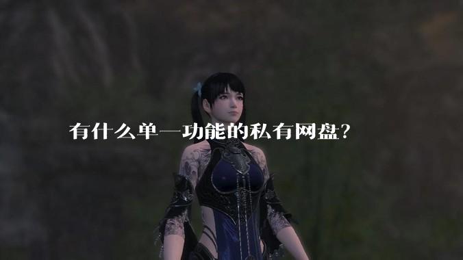 有什么单一功能的私有网盘?