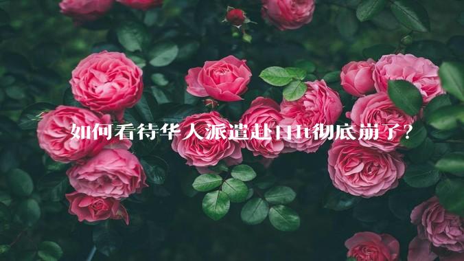 如何看待华人派遣赴日it彻底崩了?