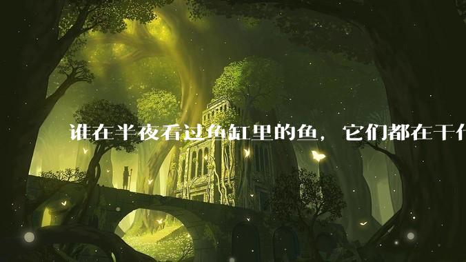 谁在半夜看过鱼缸里的鱼,它们都在干什么?