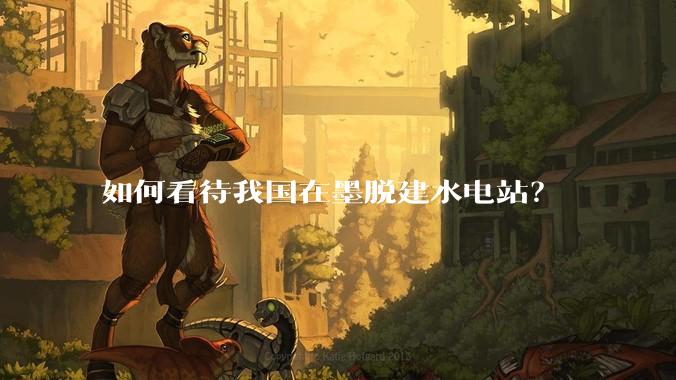 如何看待我国在墨脱建水电站?