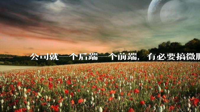 公司就一个后端一个前端,有必要搞微服务吗?
