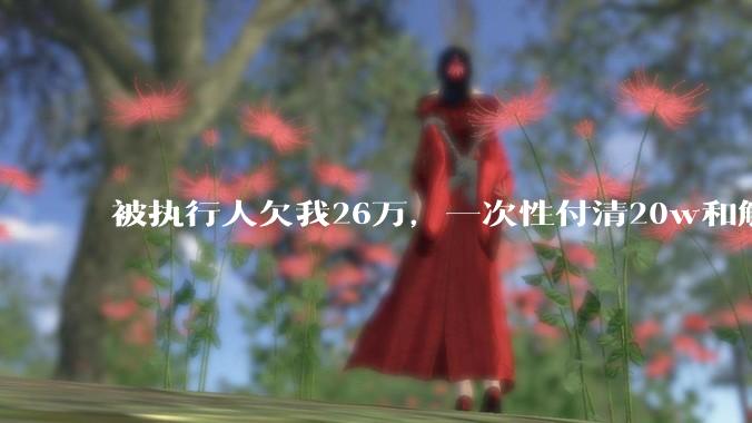 被执行人欠我26万,一次性付清20w和解,我该同意吗?