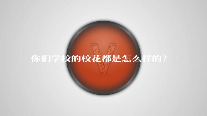 你们学校的校花都是怎么样的?