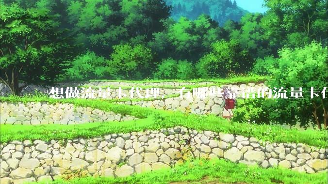 想做流量卡代理,有哪些靠谱的流量卡代理平台?