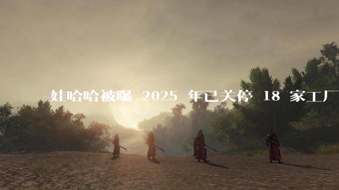 娃哈哈被曝 2025 年已关停 18 家工厂,此前曾回应纯净水由今麦郎代工,娃哈哈到底在布局什么?