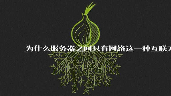 为什么服务器之间只有网络这一种互联方式?