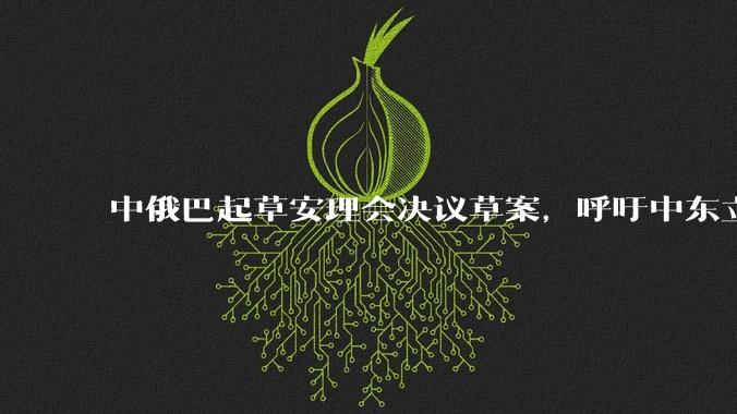 中俄巴起草安理会决议草案,呼吁中东立即停火,该草案会被通过吗?联合国决议对伊以双方有实质影响吗?
