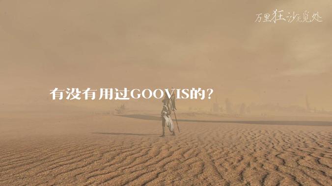有没有用过GOOVIS的?