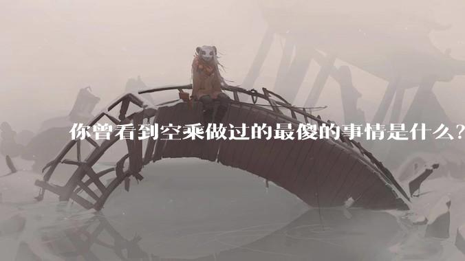 你曾看到空乘做过的最傻的事情是什么?