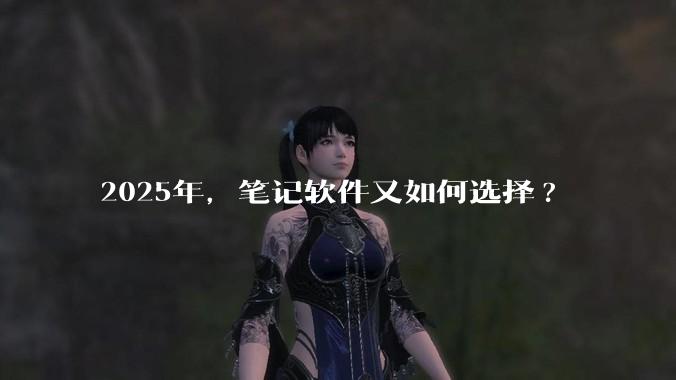2025年,笔记软件又如何选择?