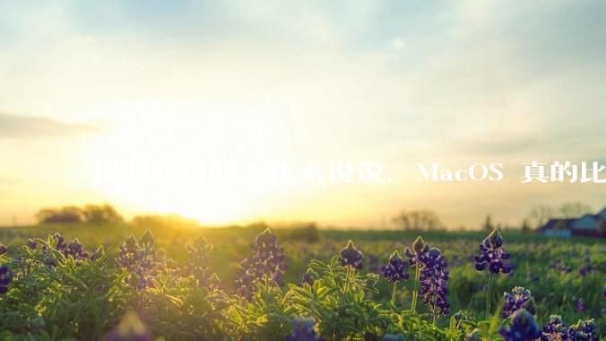 长期使用的大佬来说说,MacOS 真的比 Windows 稳定吗?