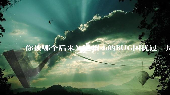 你被哪个后来知道很sb的BUG困扰过一周以上吗?