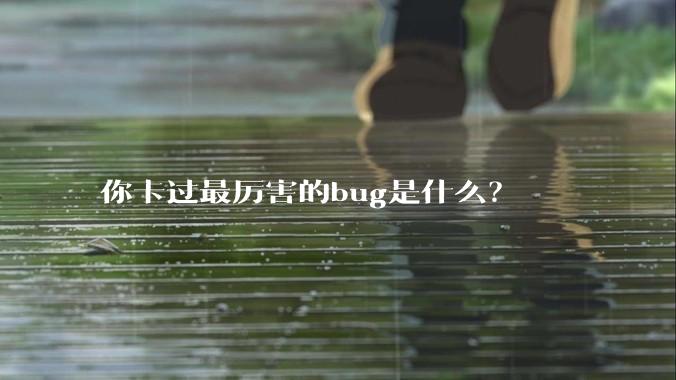 你卡过最厉害的bug是什么?