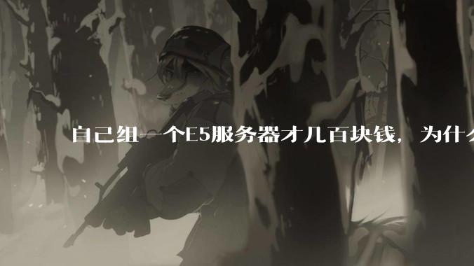 自己组一个E5服务器才几百块钱,为什么去阿里云租这么贵?