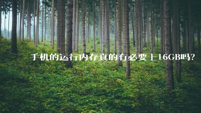 手机的运行内存真的有必要上16GB吗?
