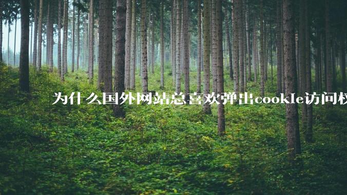 为什么国外网站总喜欢弹出cookie访问权限弹窗,国内网站却没有,这么做有什么意义?