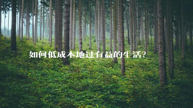 如何低成本地过有益的生活?
