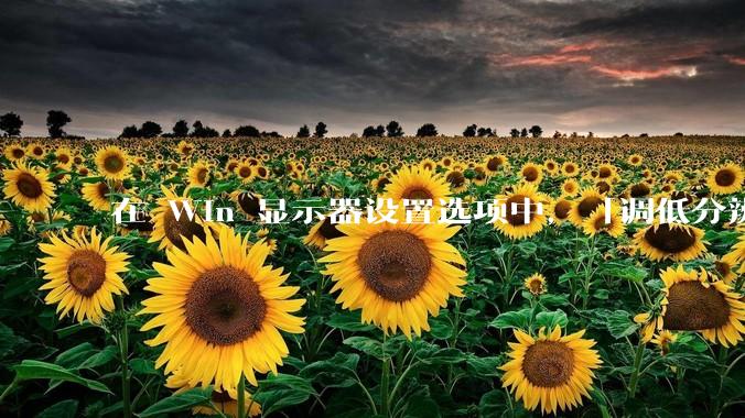 在 Win 显示器设置选项中,「调低分辨率」和「调高缩放比例」,哪个文字显示效果好一些?
