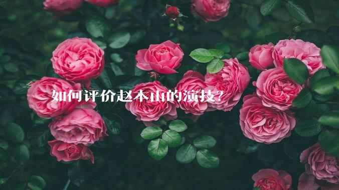 如何评价赵本山的演技?