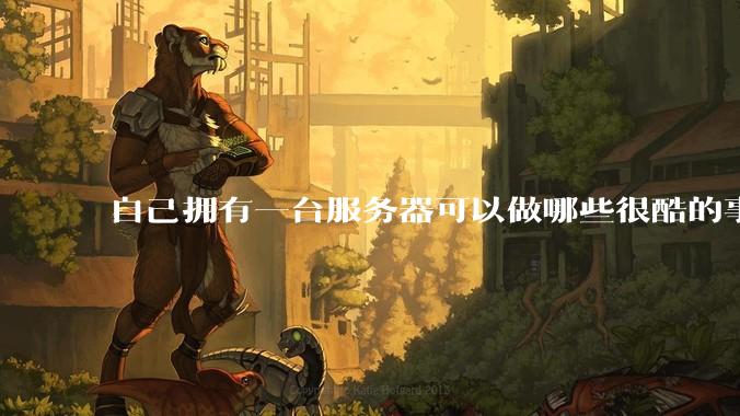 自己拥有一台服务器可以做哪些很酷的事情?