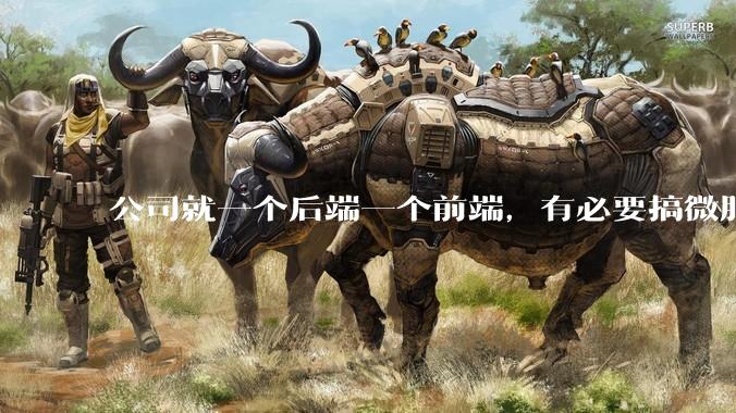 公司就一个后端一个前端,有必要搞微服务吗?