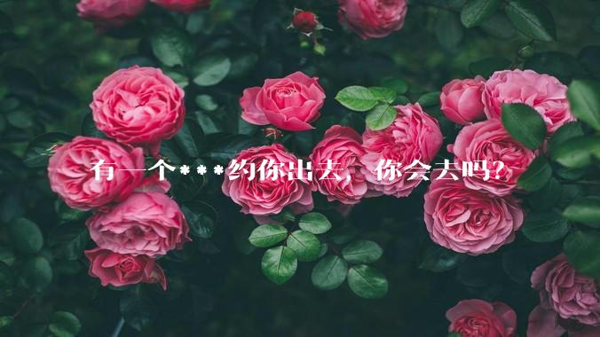 有一个***约你出去,你会去吗?