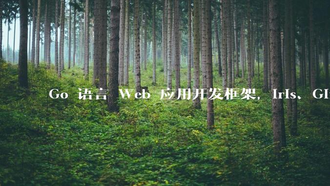 Go 语言 Web 应用开发框架,Iris、Gin、Echo,哪一个更适合大型项目?