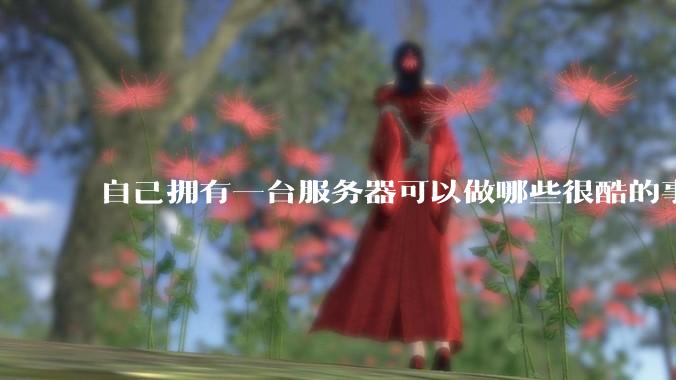 自己拥有一台服务器可以做哪些很酷的事情?