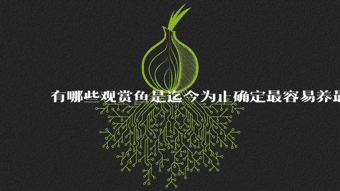 有哪些观赏鱼是迄今为止确定最容易养最不容易死的?