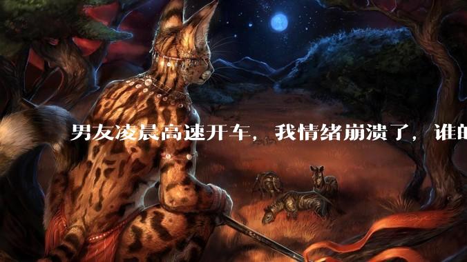 男友凌晨高速开车,我情绪崩溃了,谁的错?