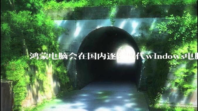 鸿蒙电脑会在国内逐渐取代windows电脑吗?