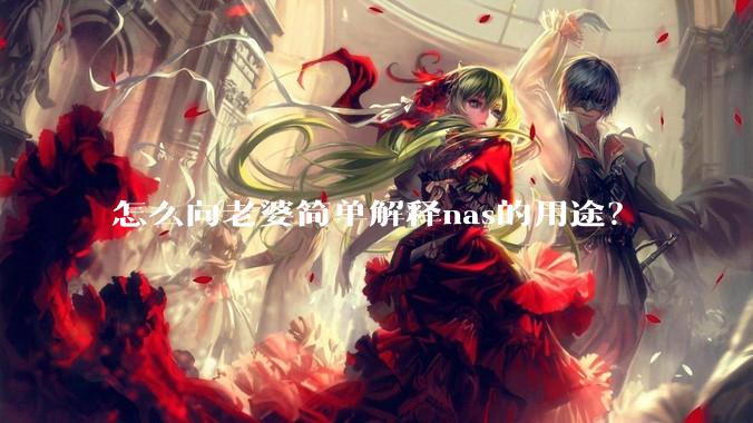 怎么向老婆简单解释nas的用途?