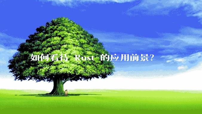 如何看待 Rust 的应用前景?