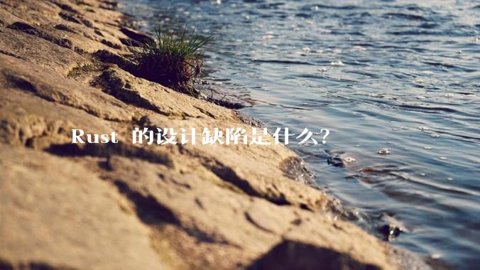 Rust 的设计缺陷是什么?