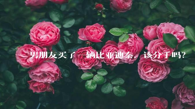 男朋友买了一辆比亚迪秦,该分手吗?