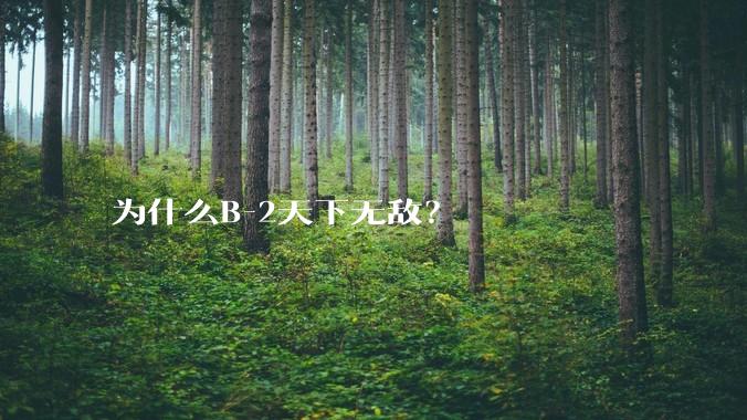 为什么B-2天下无敌?