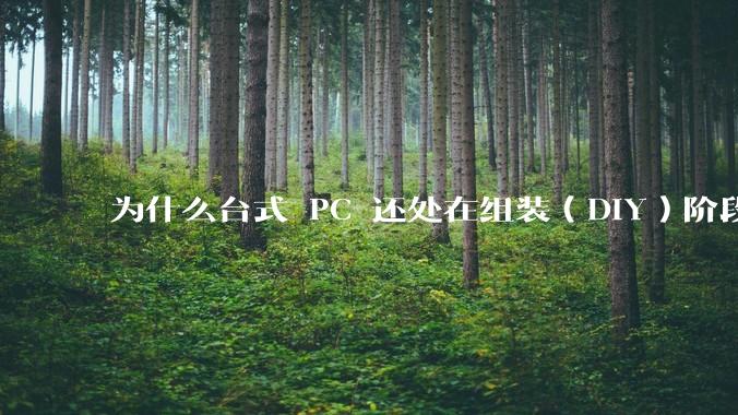 为什么台式 PC 还处在组装(DIY)阶段?